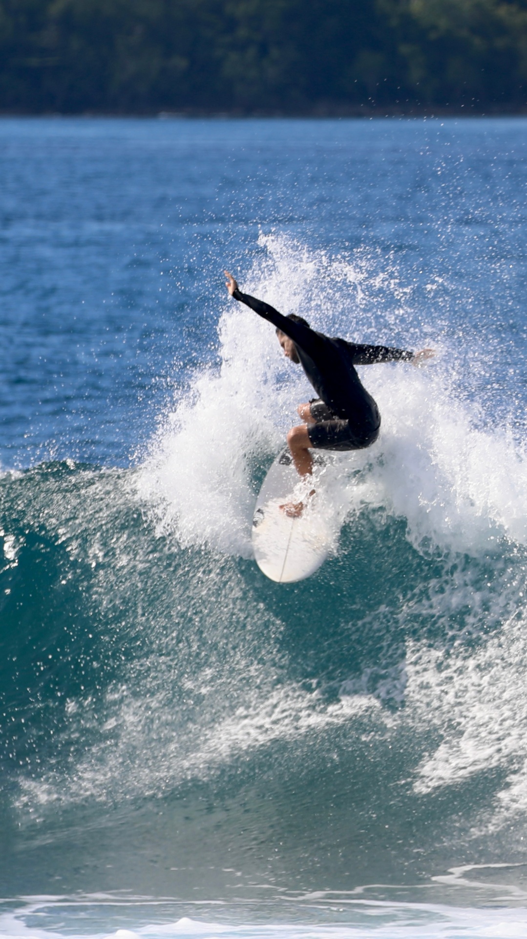 Olas